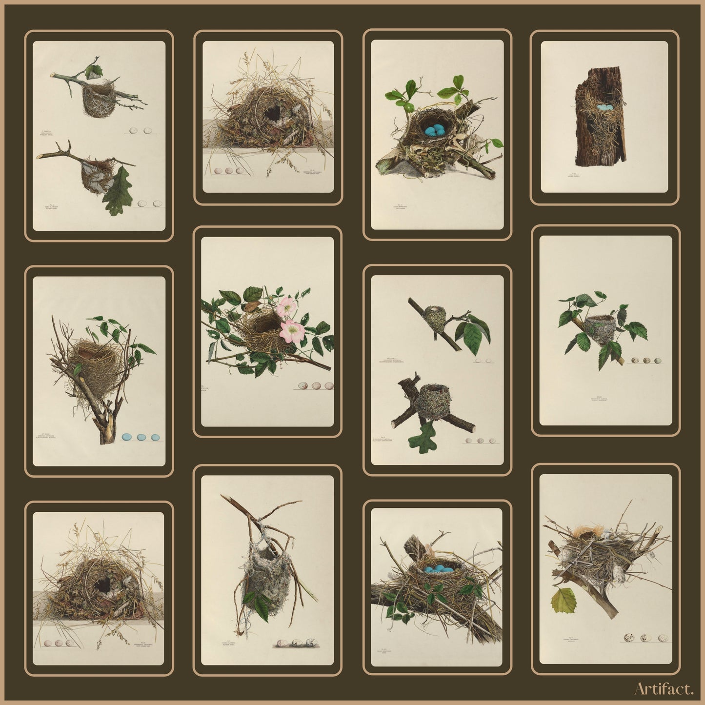 Nest: Square Silk Scarf