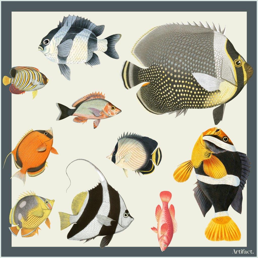 Aqua: Square Silk Scarf