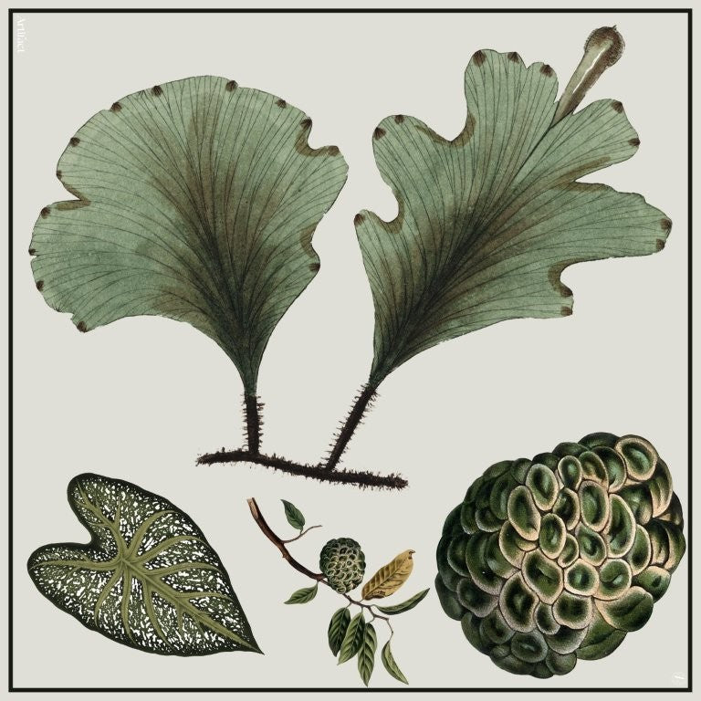 Silva Viridis: Square Silk Scarf