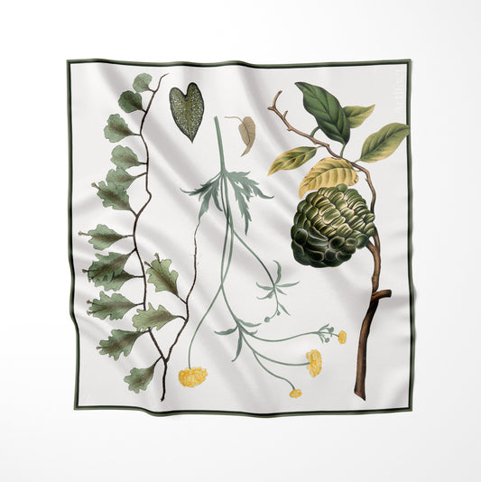 Silva Clarus:  Square Silk Scarf