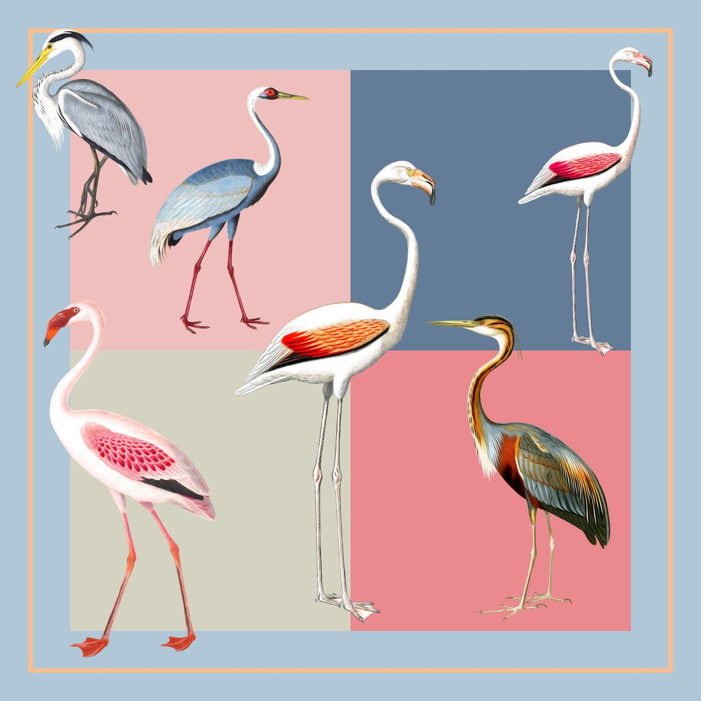 Avia: Square Silk Scarf