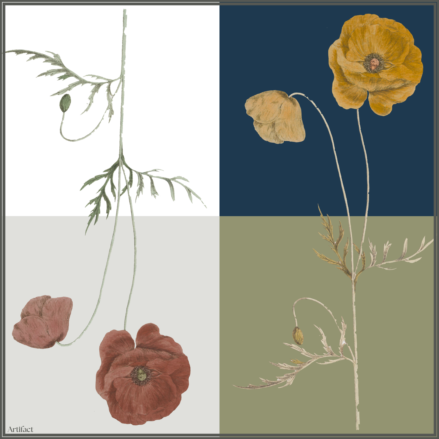 Liora Still:  Square Silk Scarf