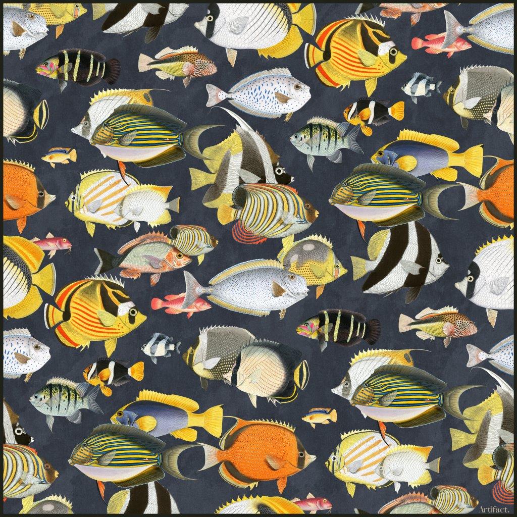 Fish in Navy